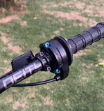 Throttle Bolts