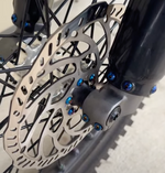 Rotor Bolts (ALL E-Moto)