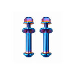 Ultra Bee Brake Lever Pivot Titanium Bolts