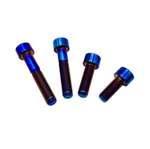 Ultra Bee Motor Titanium Bolts